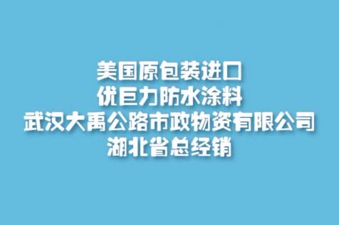 美國(guó)原包裝進(jìn)囗優(yōu)巨力防水涂料施工視屏